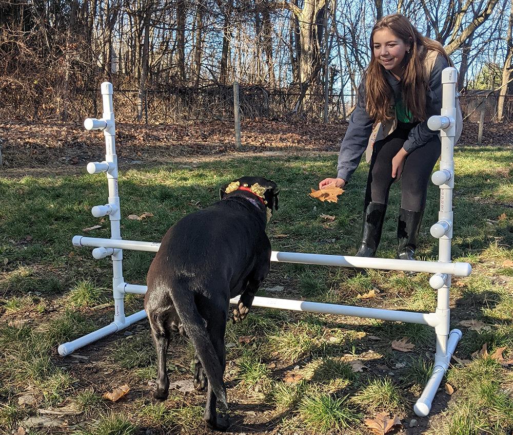 Katie Greiner encourages her dog Stella to jump over the hurdle that she installed at the Milton Dog Park.